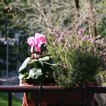 I Ghiri Bed and Breakfast 4*