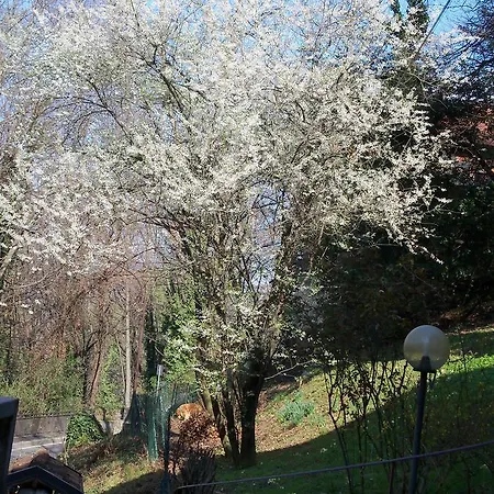 Bed and Breakfast I Ghiri 4*