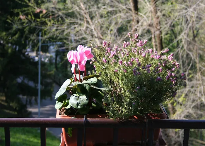 I Ghiri Bed & Breakfast 4*