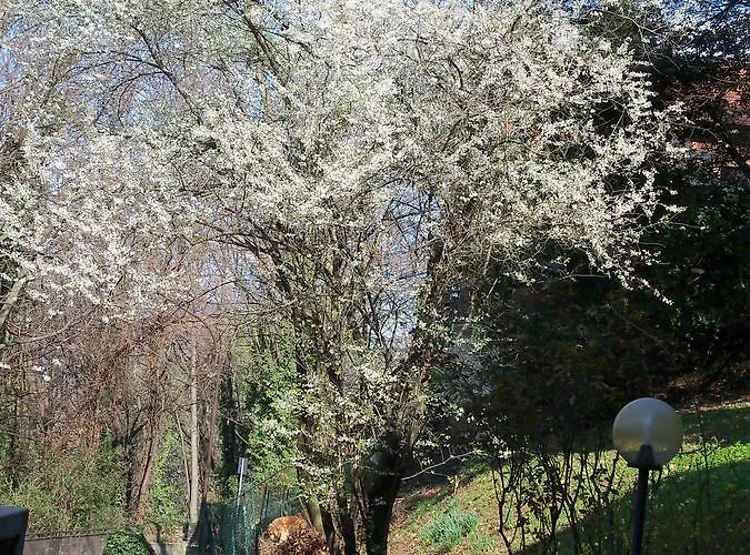 Oda ve Kahvaltı I Ghiri 4*